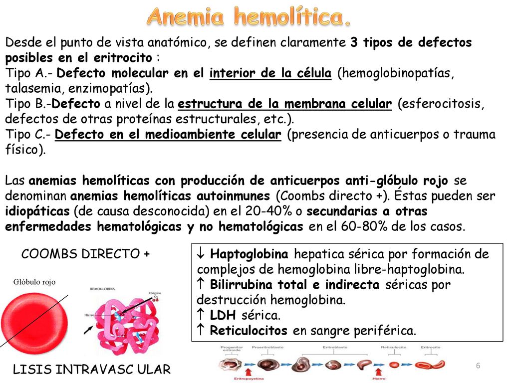 coombs directo e indirecto diferencias